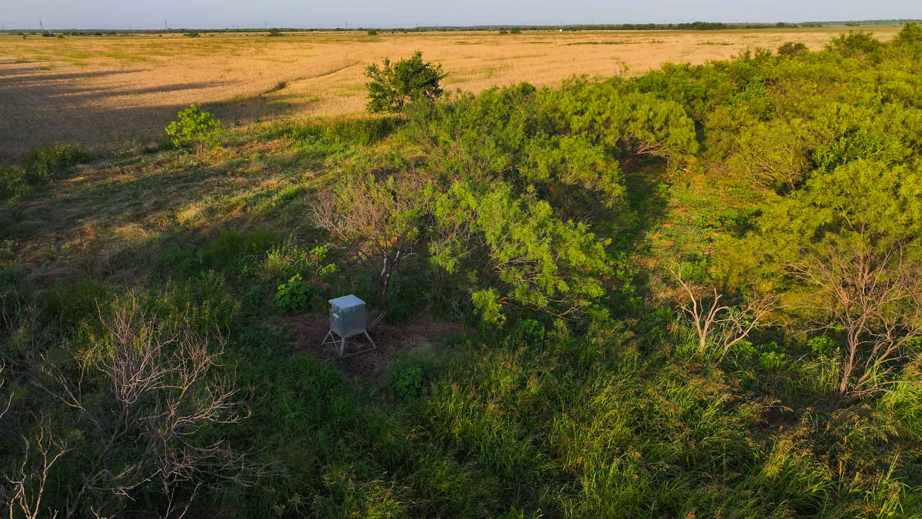 Circle G Farm property picture 17 of 35