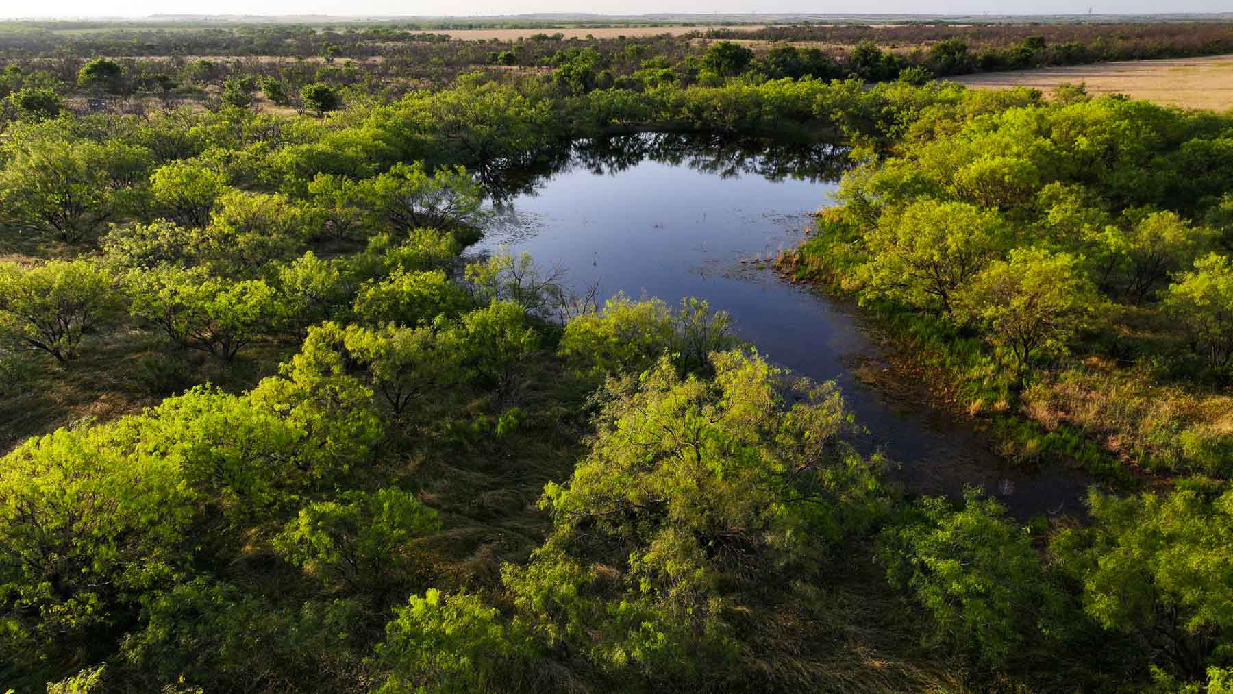 Circle G Farm property picture 16 of 35