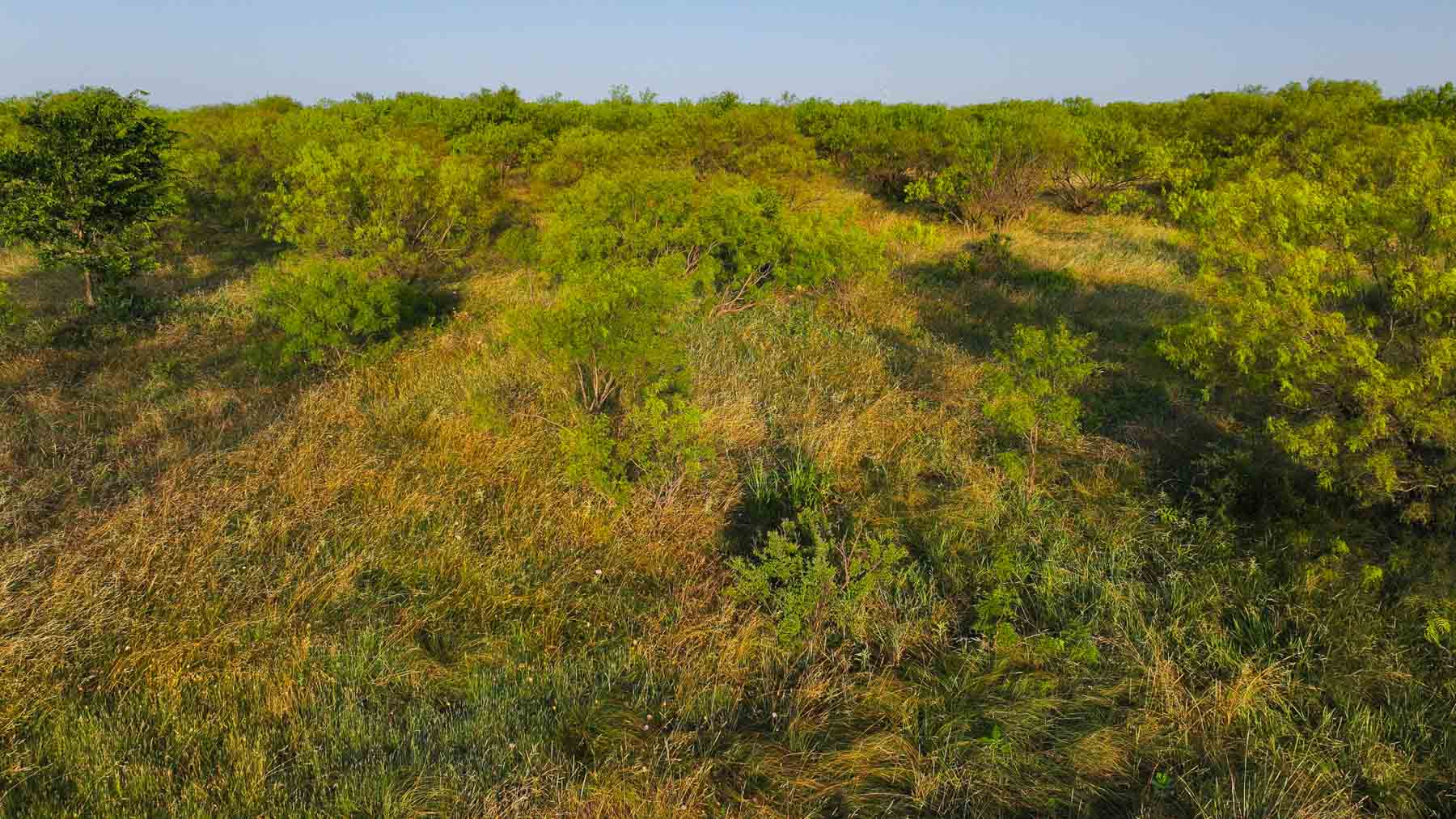 Circle G Farm property picture 24 of 35