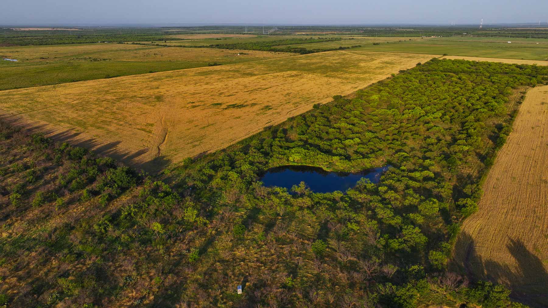 Circle G Farm property picture 22 of 35