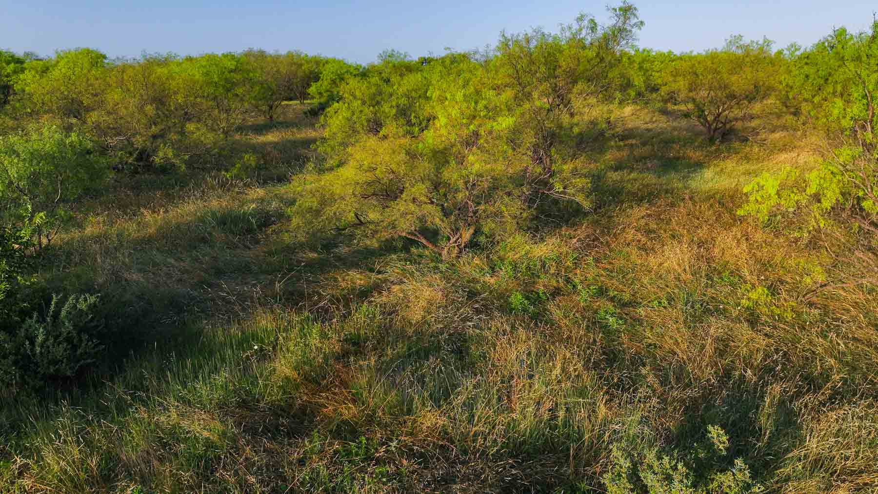 Circle G Farm property picture 35 of 35