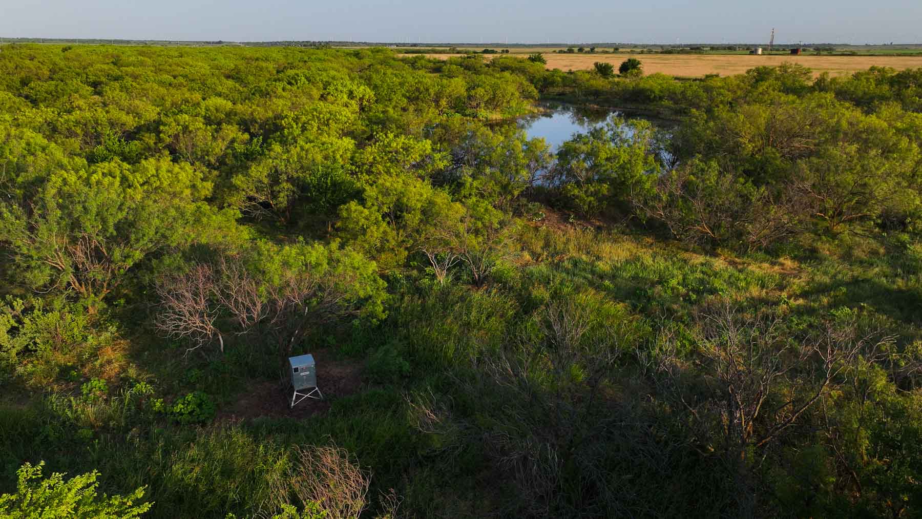Circle G Farm property picture 20 of 35