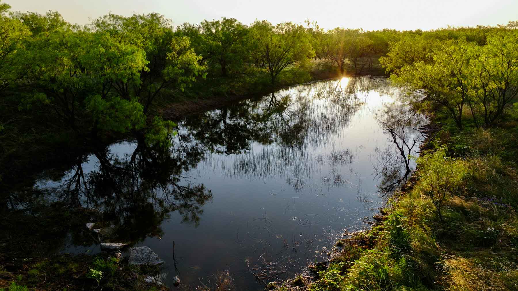 Circle G Farm property picture 10 of 35