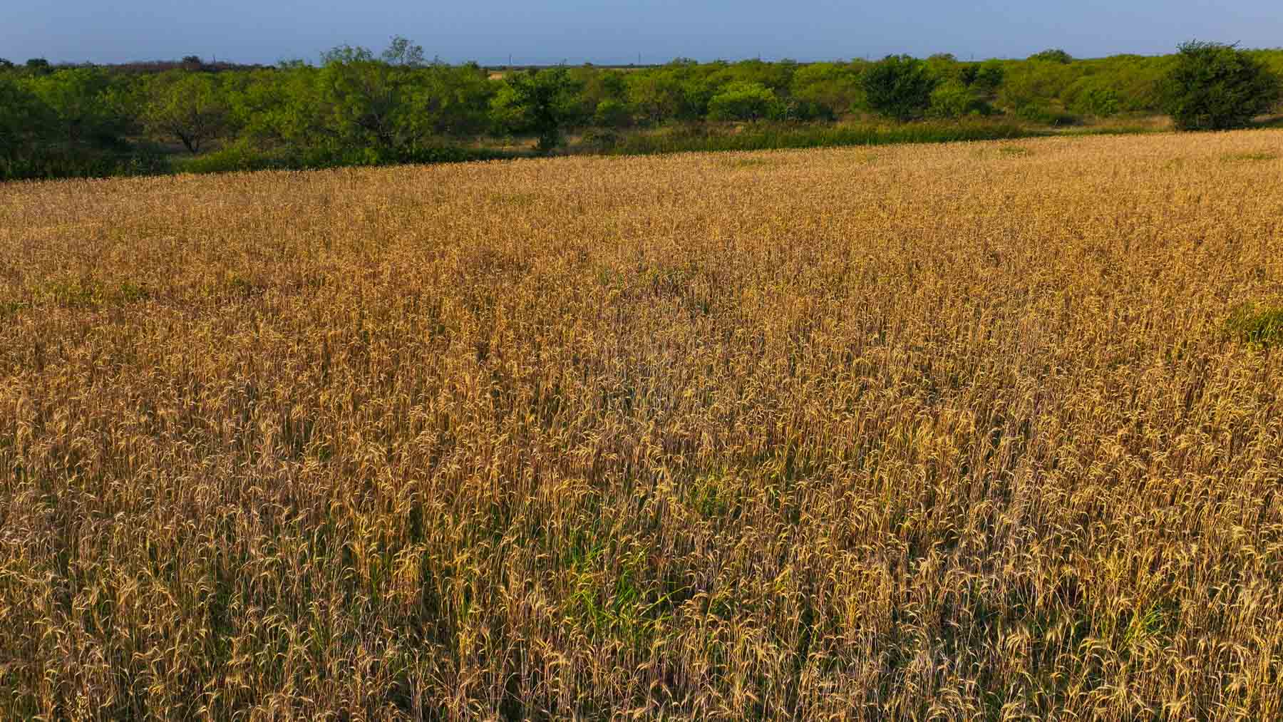 Circle G Farm property picture 29 of 35