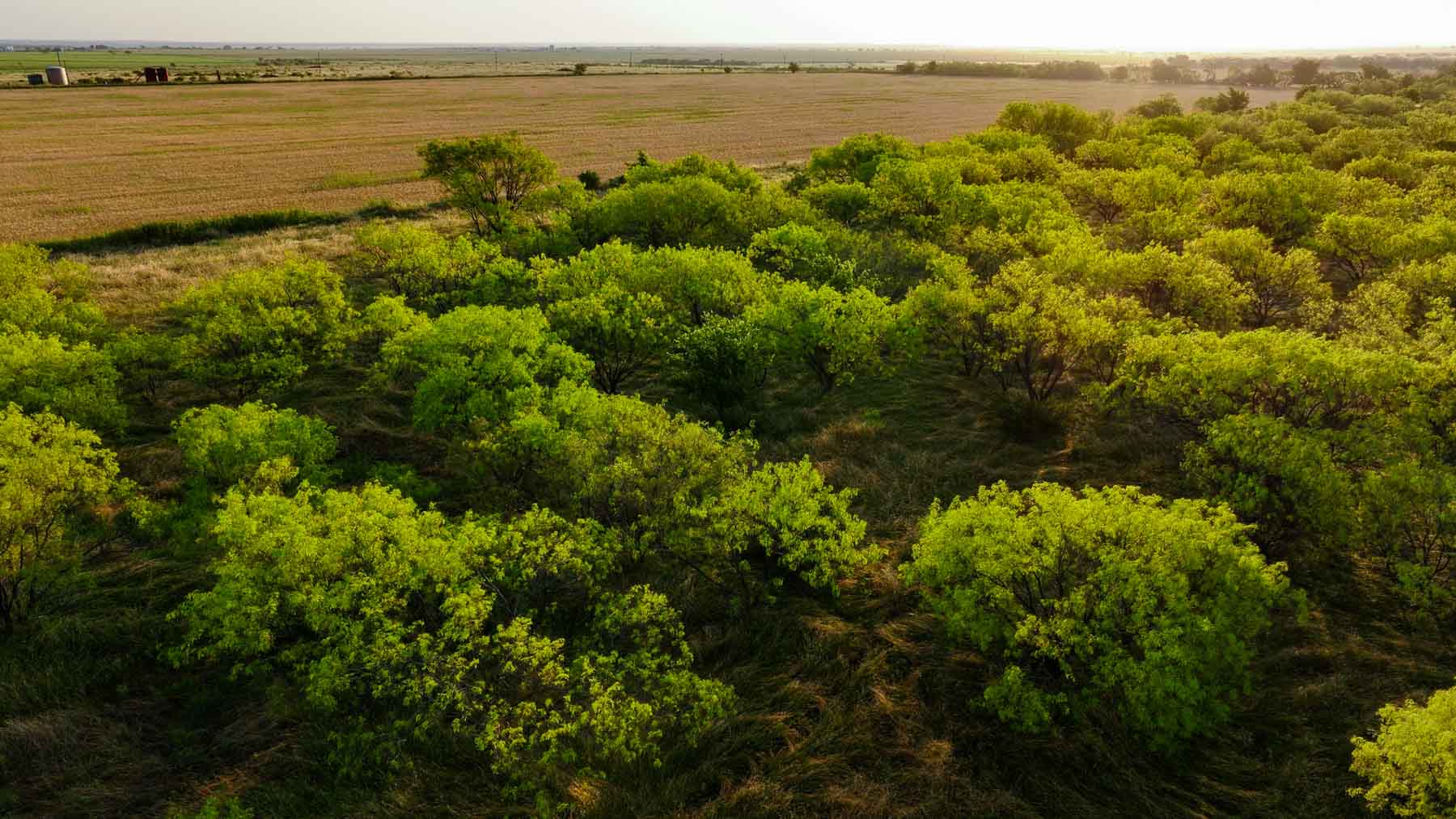 Circle G Farm property picture 12 of 35