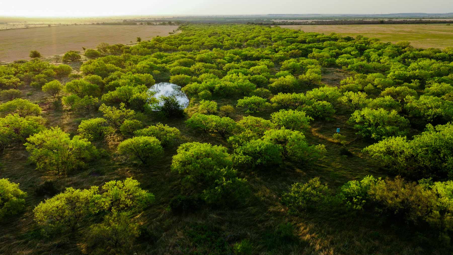 Circle G Farm property picture 33 of 35