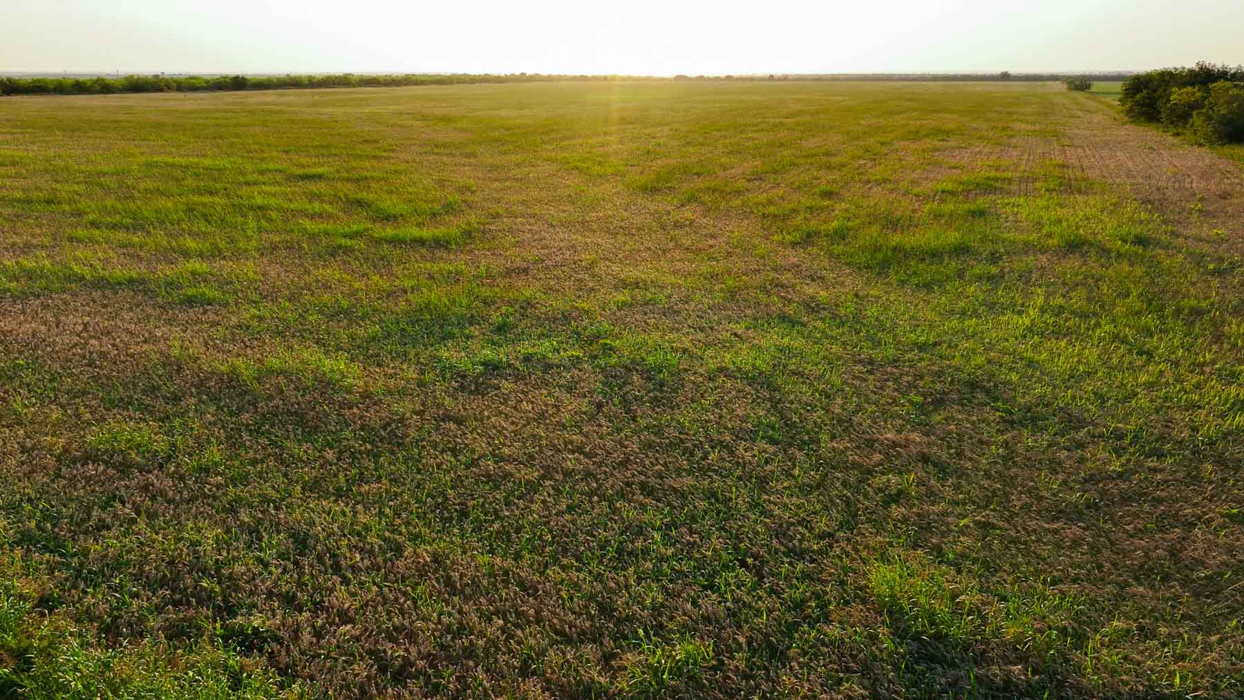 Circle G Farm property picture 32 of 35