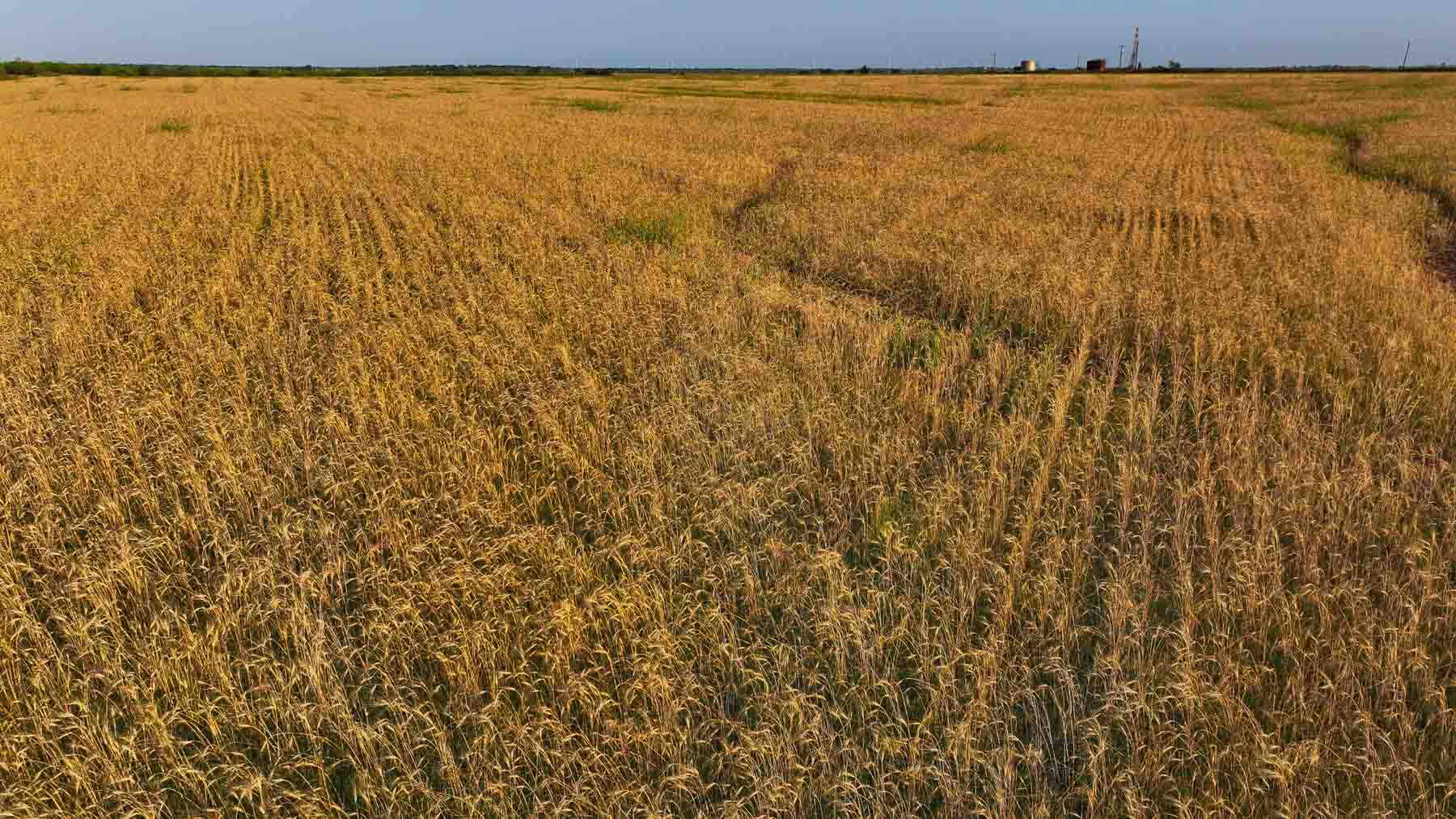 Circle G Farm property picture 23 of 35