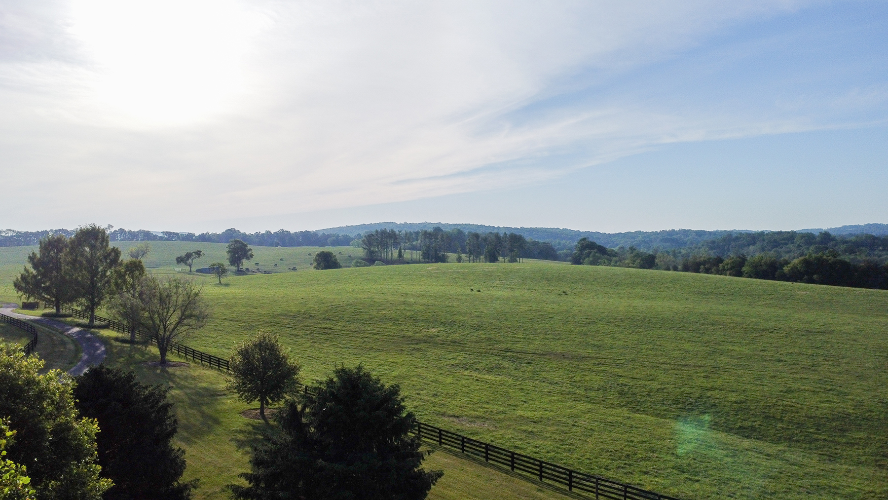 Edgewood Farm property picture 60 of 65