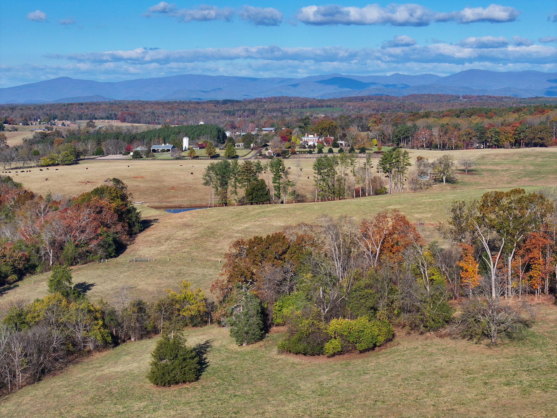 Edgewood Farm property picture 58 of 65