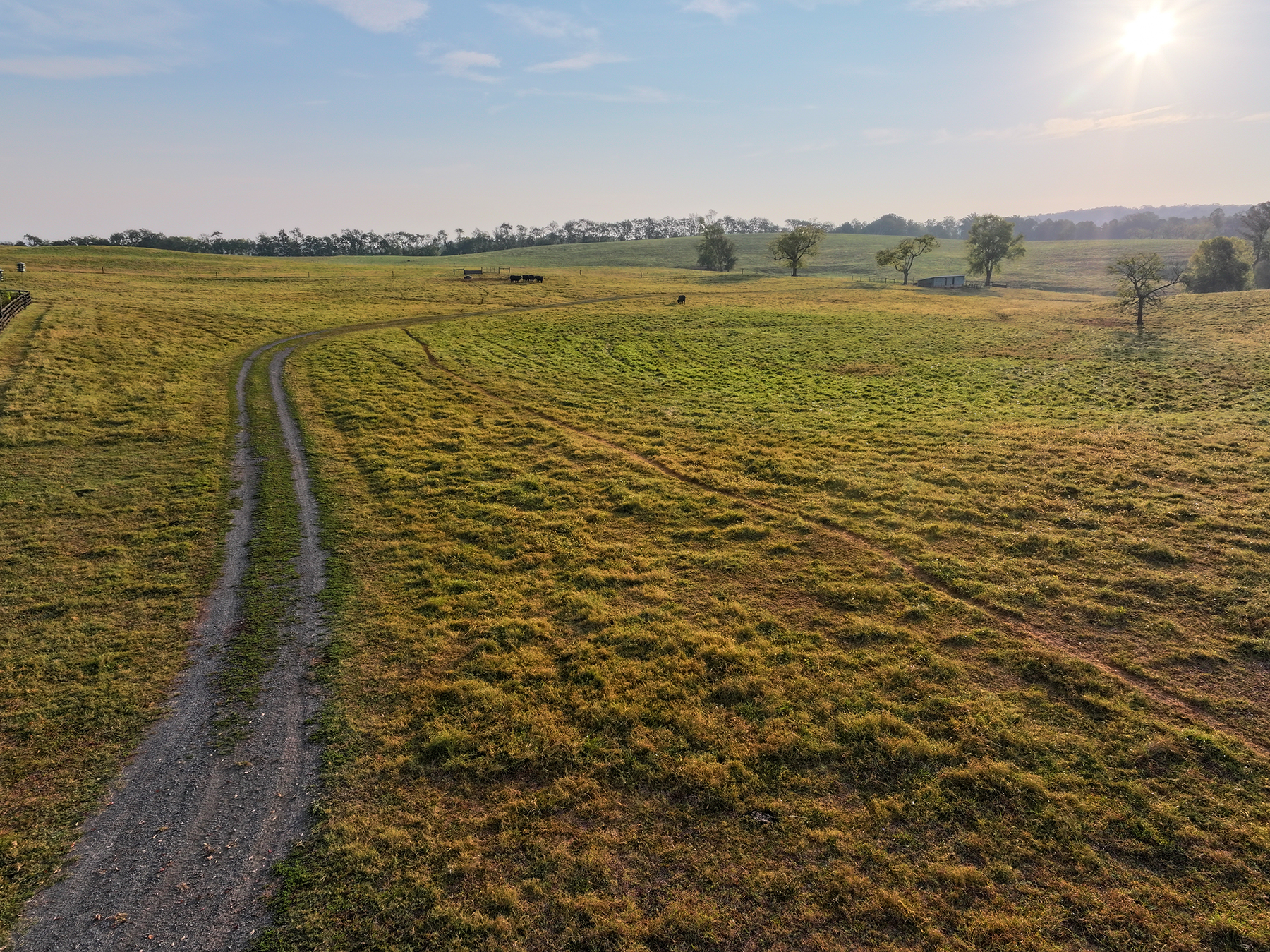 Edgewood Farm property picture 50 of 65