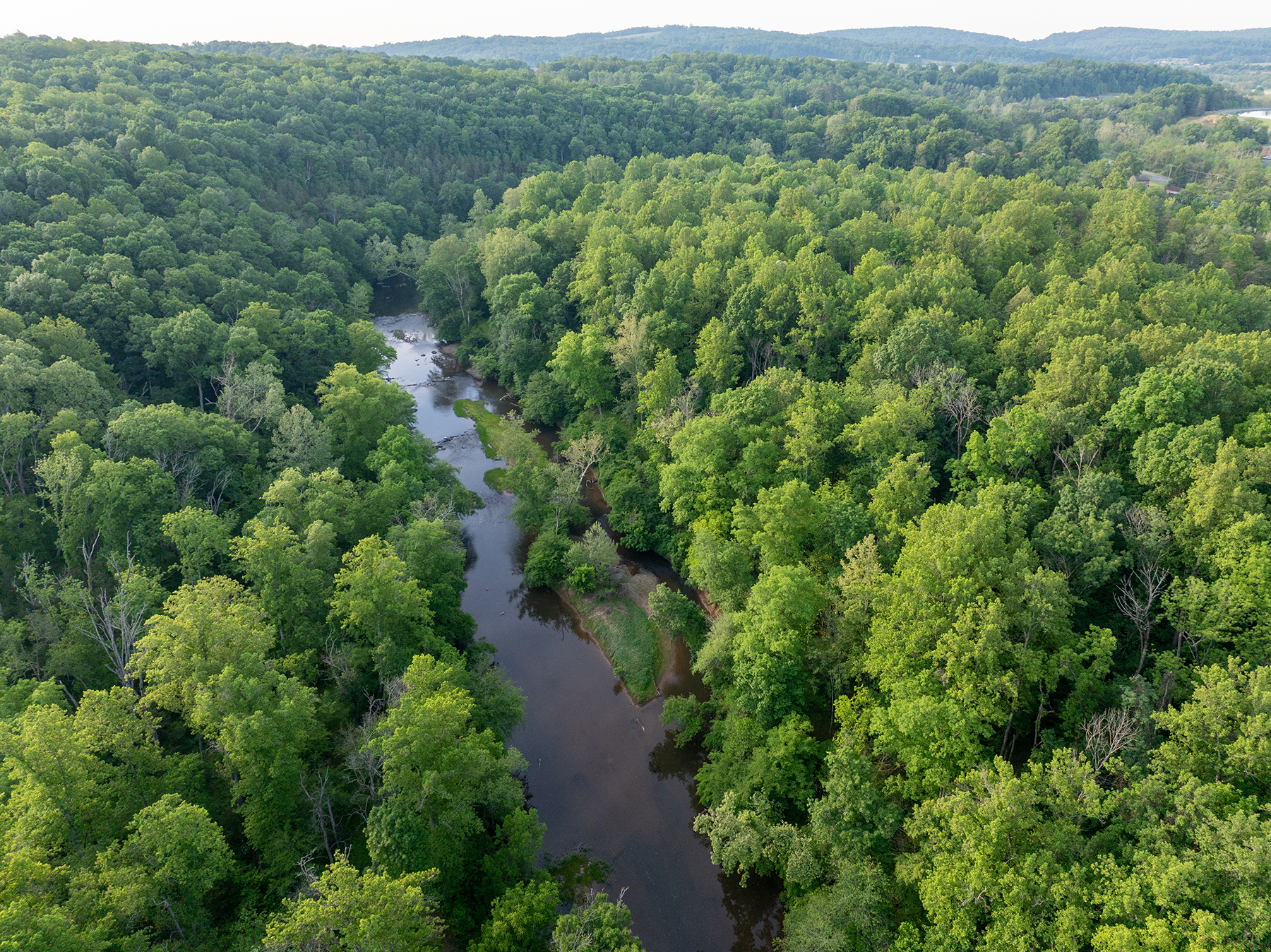 Edgewood Farm property picture 49 of 65