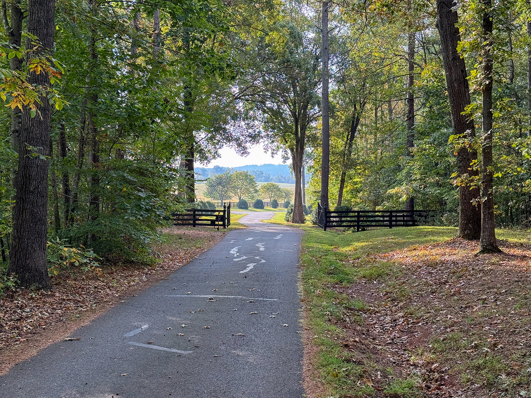 Edgewood Farm property picture 3 of 65