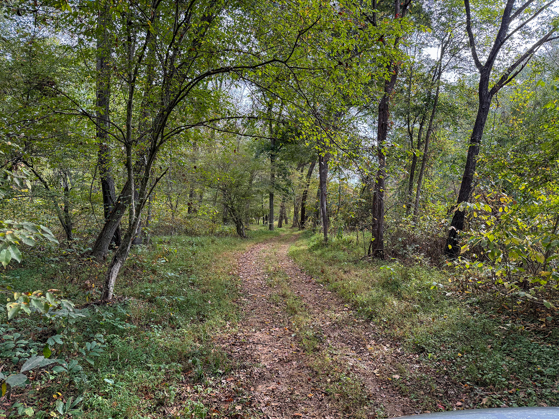 Edgewood Farm property picture 61 of 65