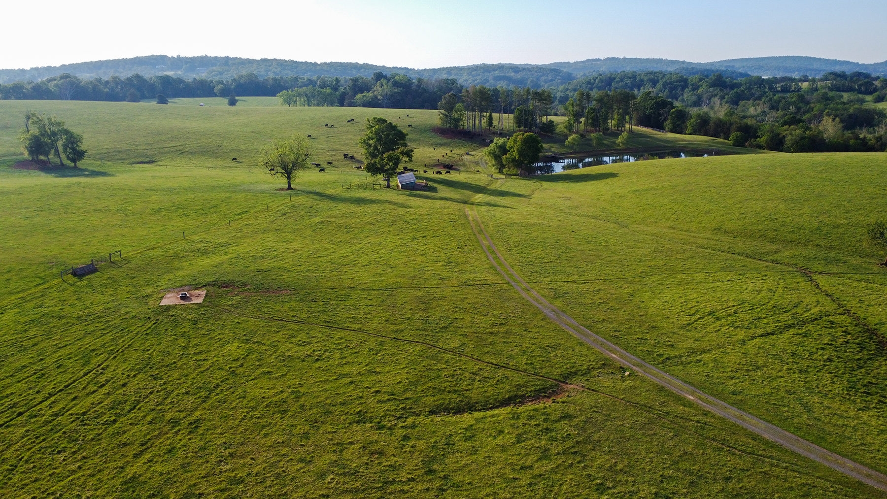 Edgewood Farm property picture 47 of 65