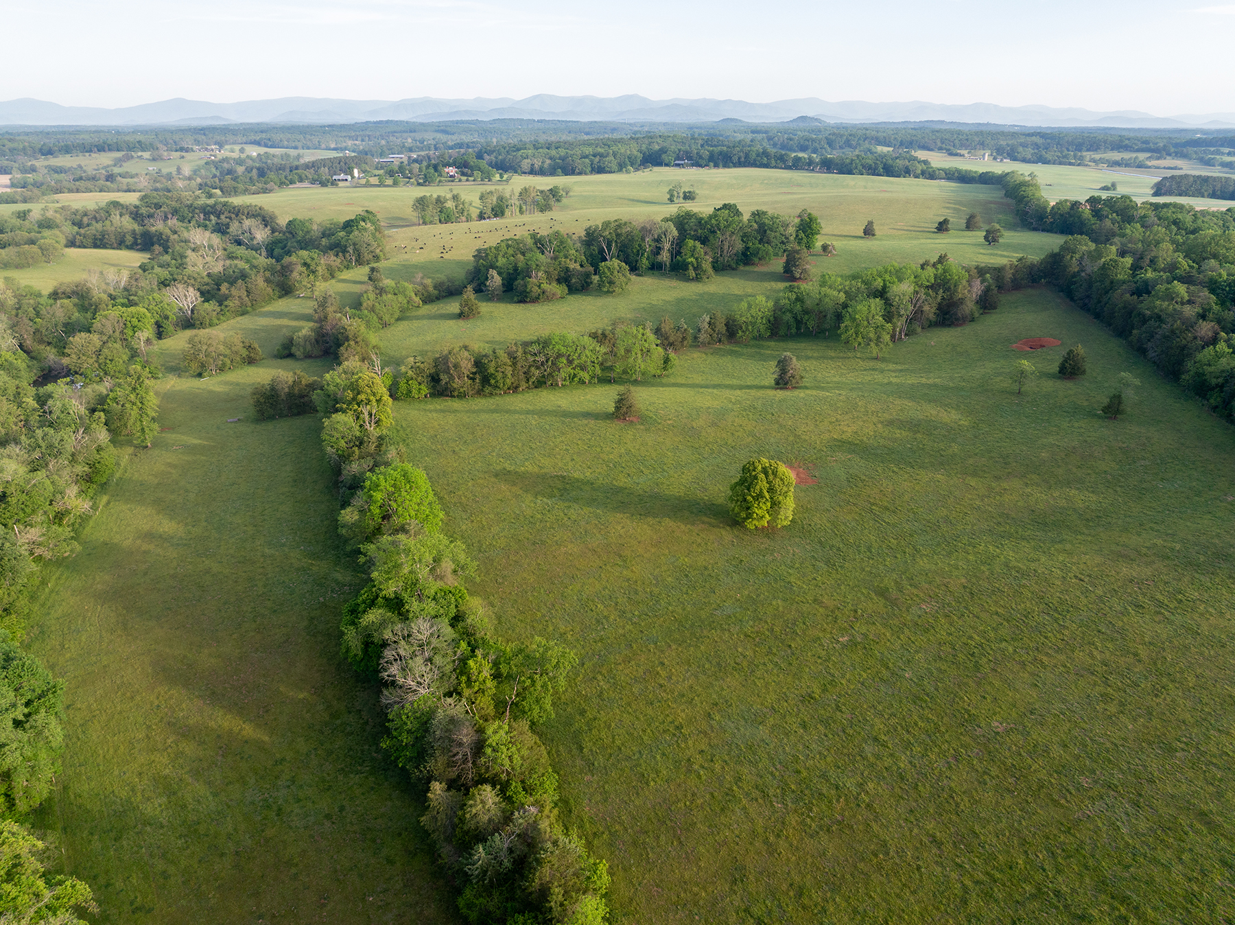 Edgewood Farm property picture 61 of 65