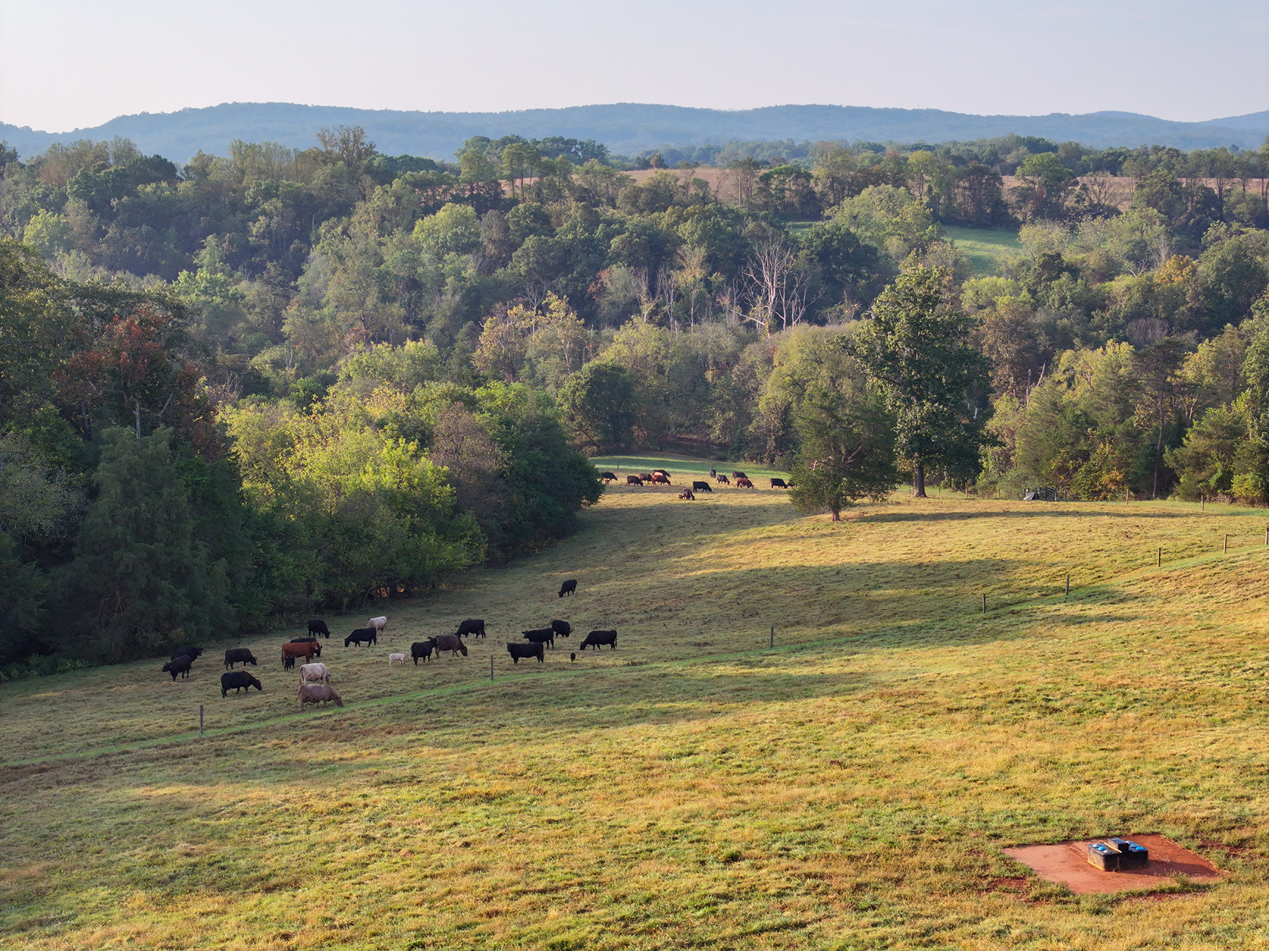 Edgewood Farm property picture 57 of 65
