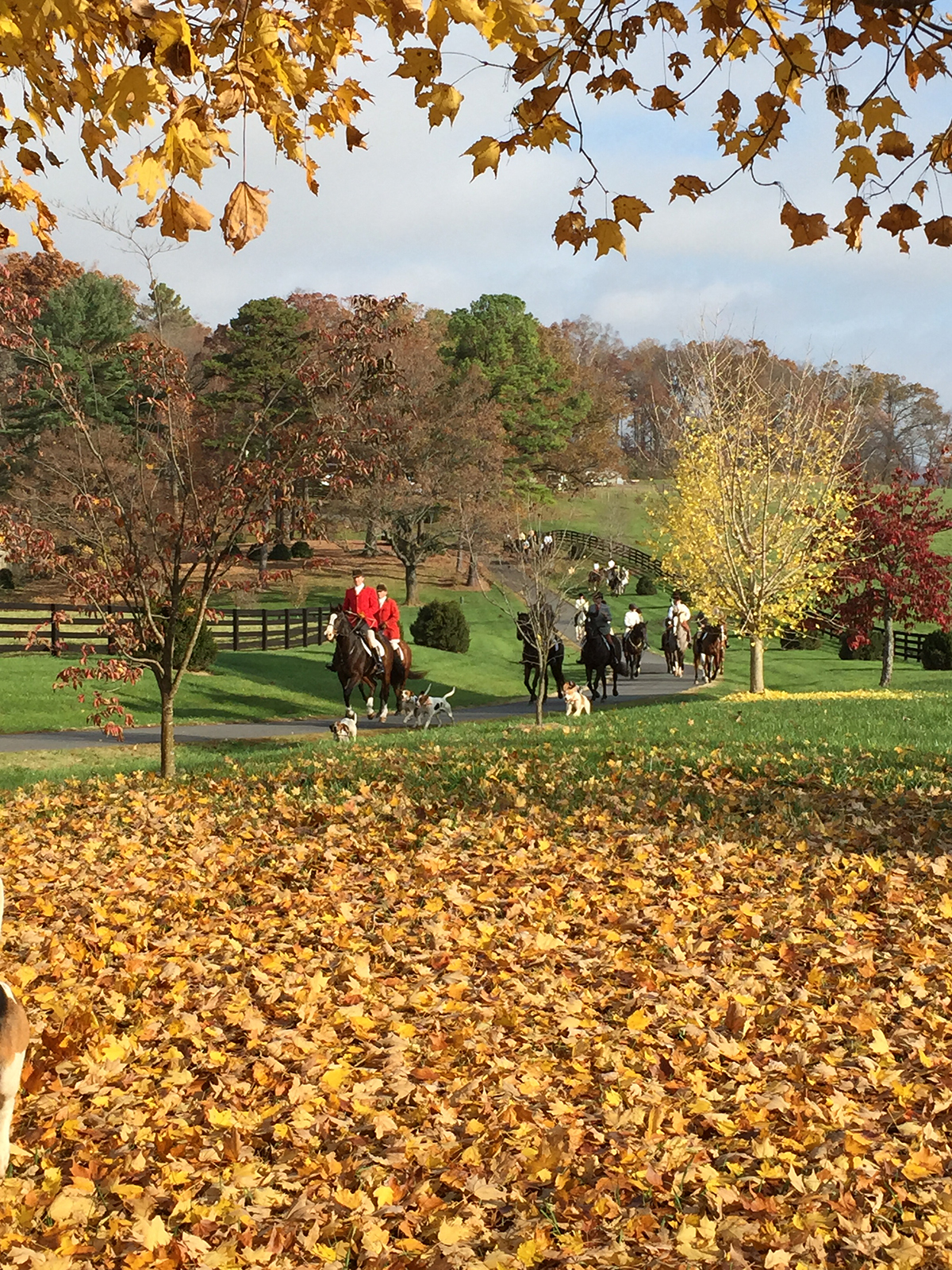 Edgewood Farm property picture 62 of 65