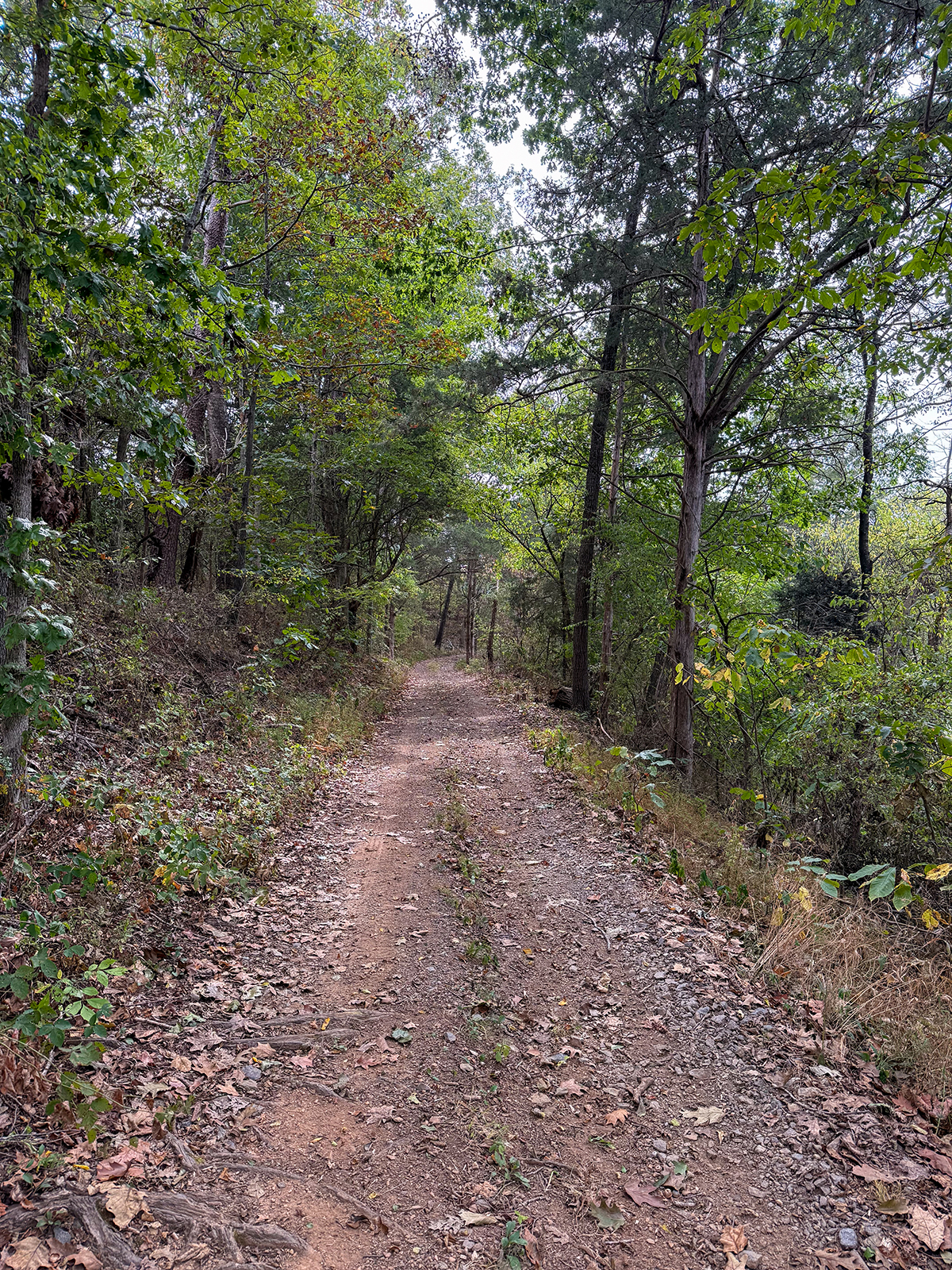 Edgewood Farm property picture 60 of 65