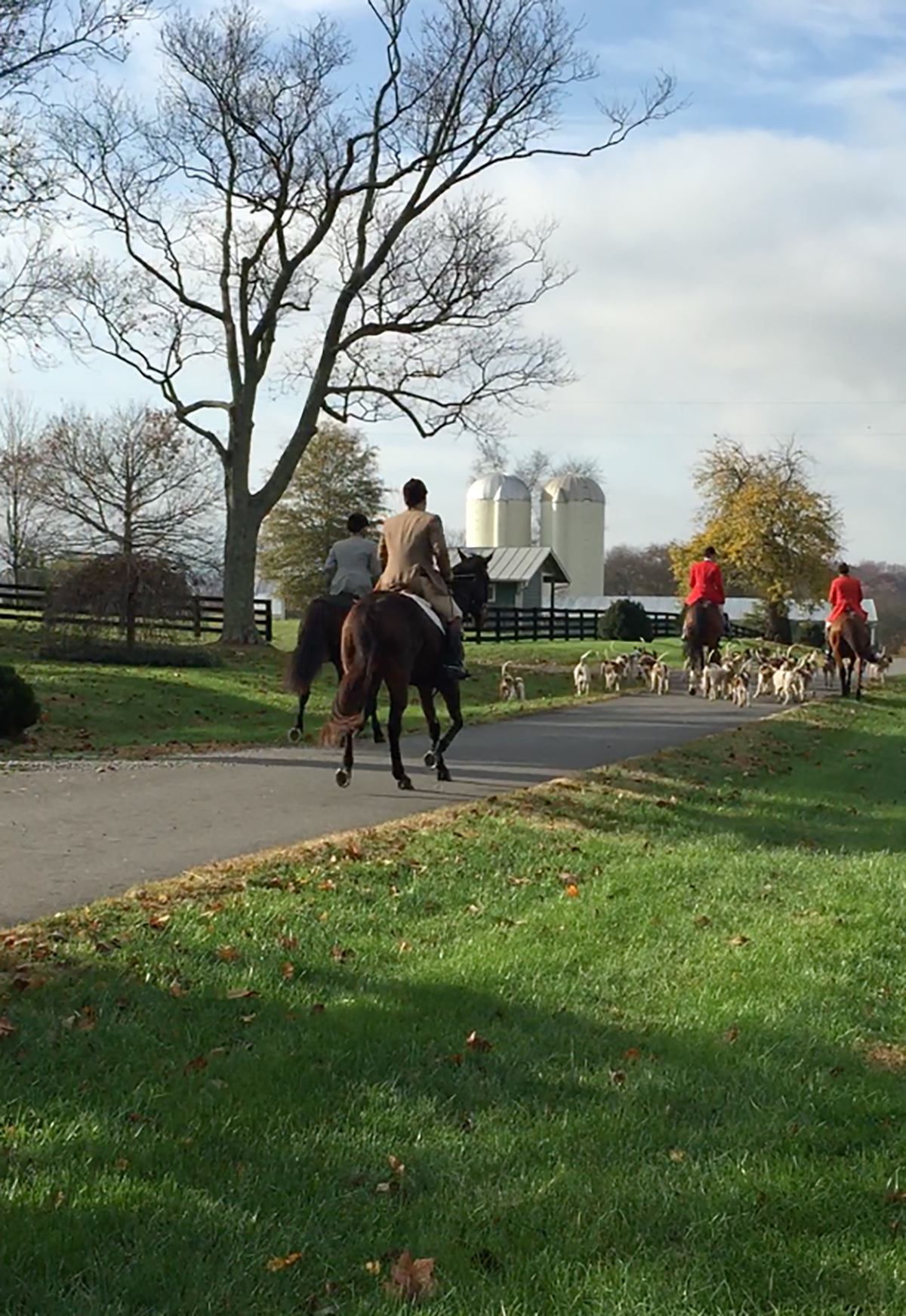 Edgewood Farm property picture 63 of 65