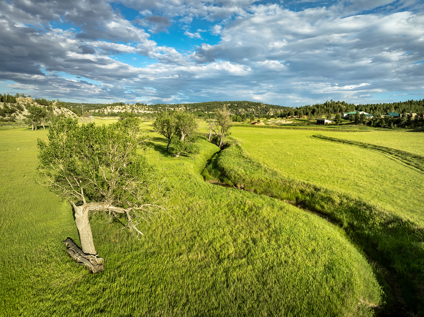 Lowery Ranch property picture 8 of 24