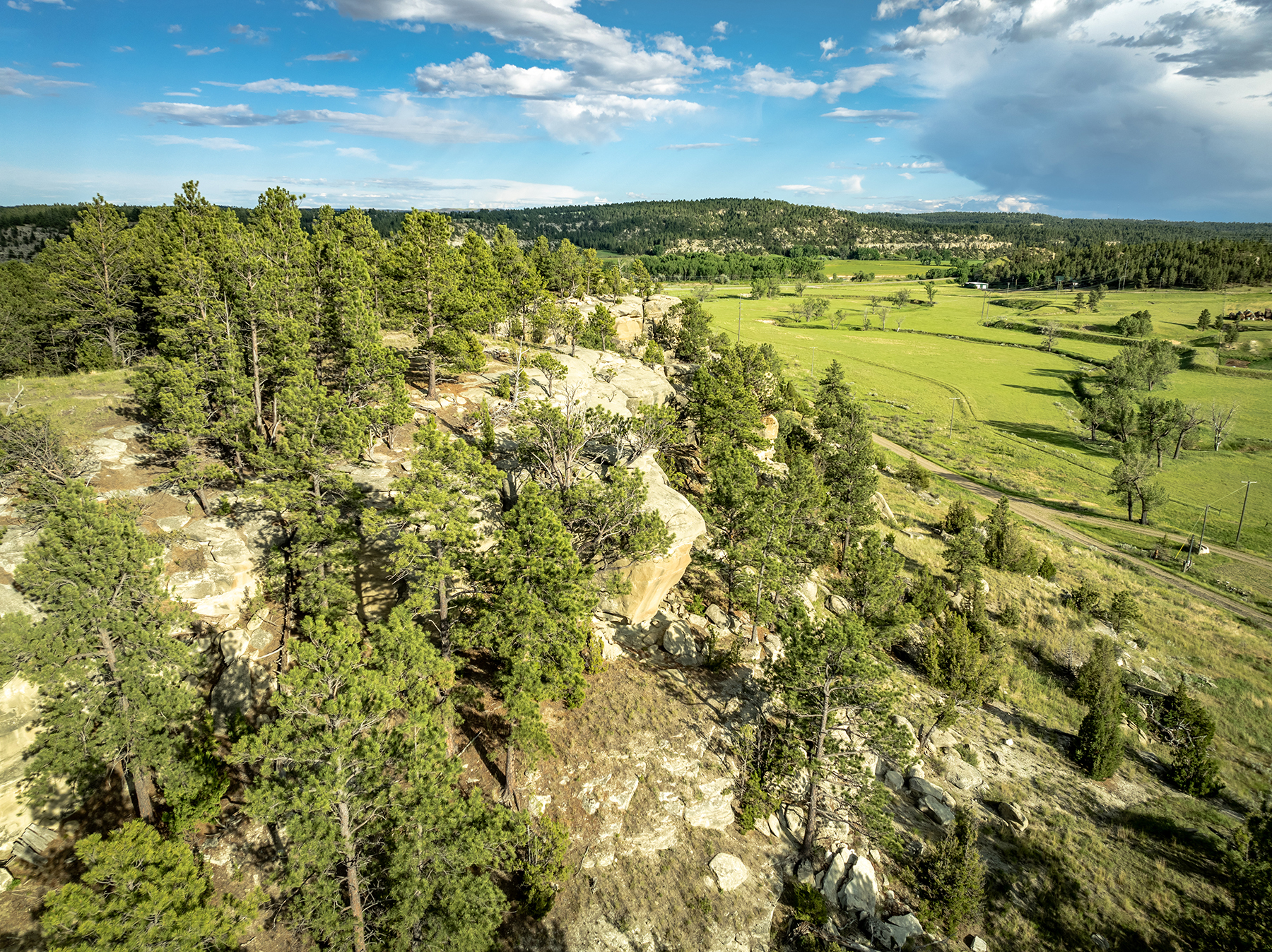 Lowery Ranch property picture 7 of 24