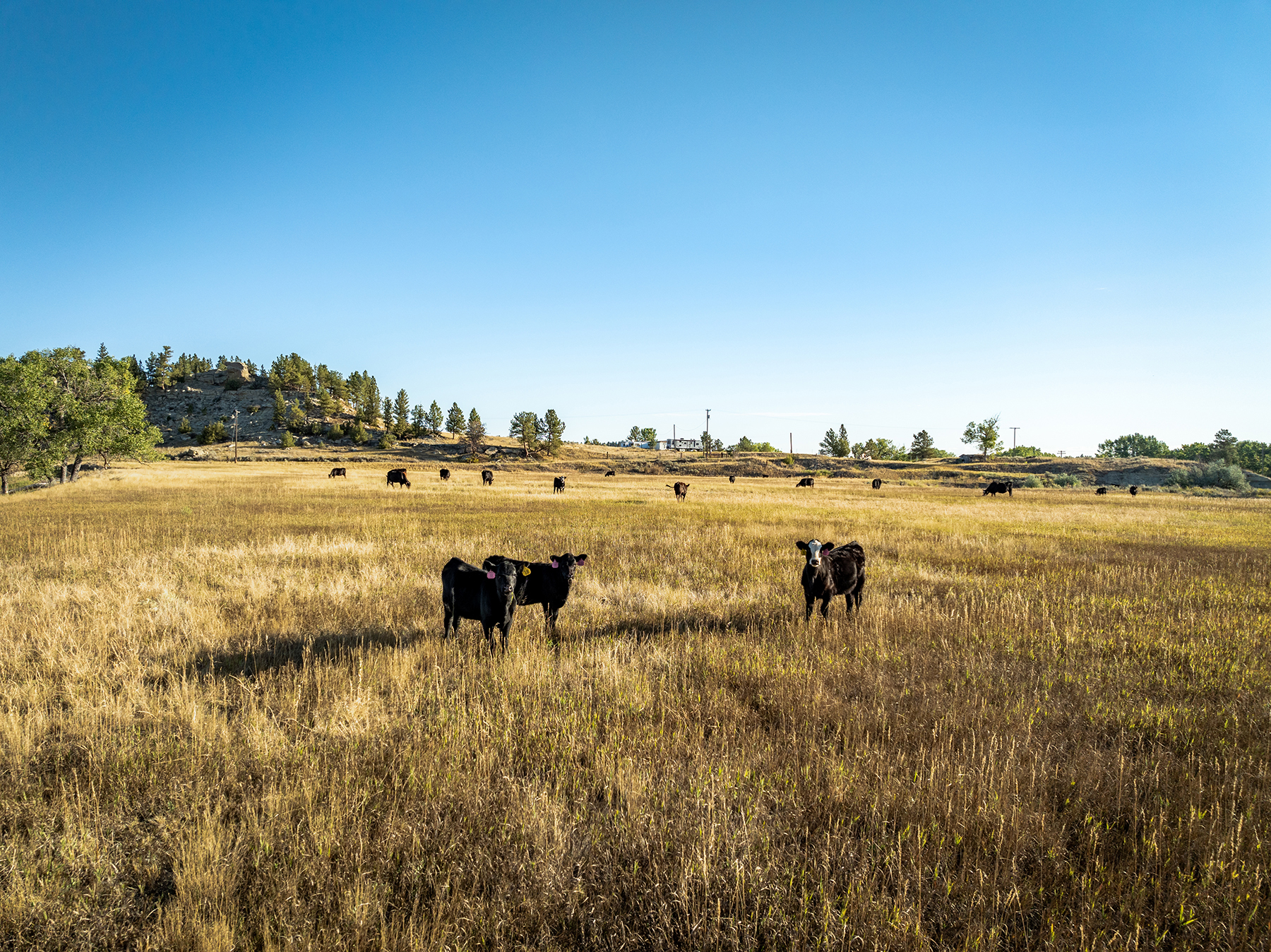 Lowery Ranch property picture 24 of 24