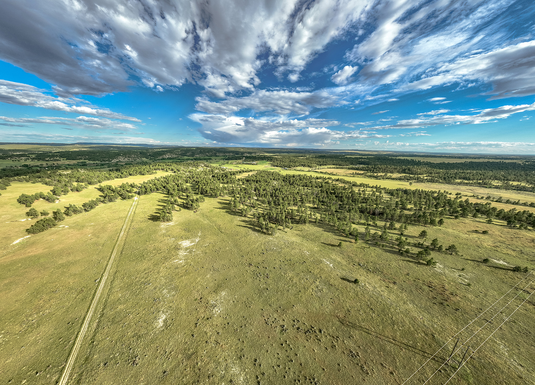 Lowery Ranch property picture 4 of 24