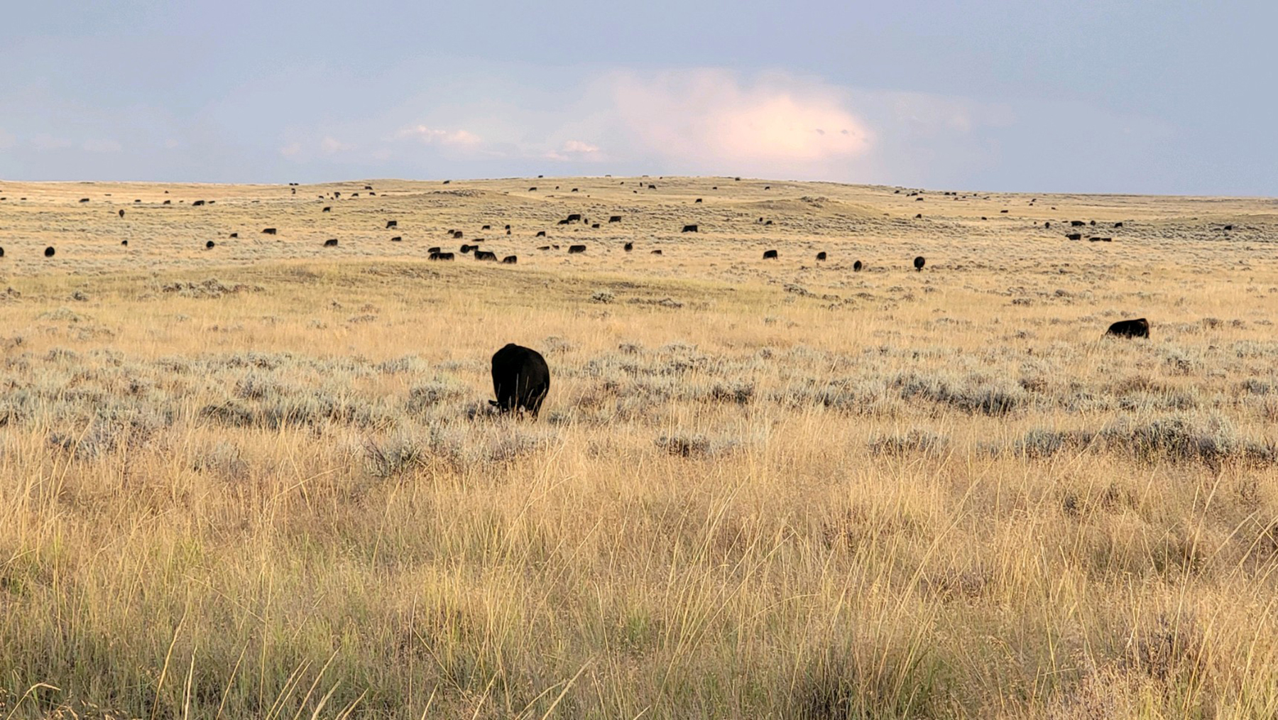 Brand Rock Home Ranch property picture 25 of 36