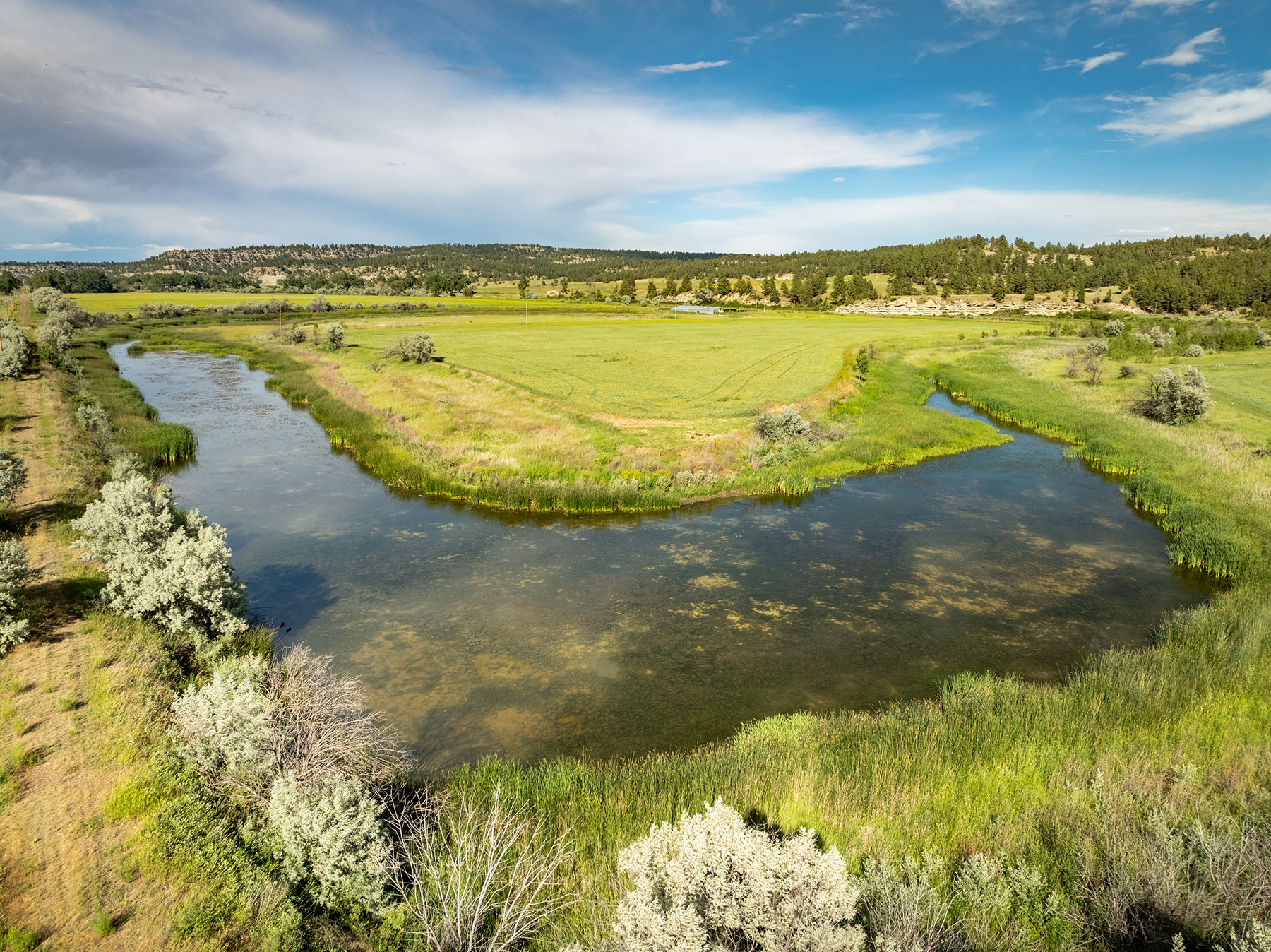Brand Rock Home Ranch property picture 28 of 36