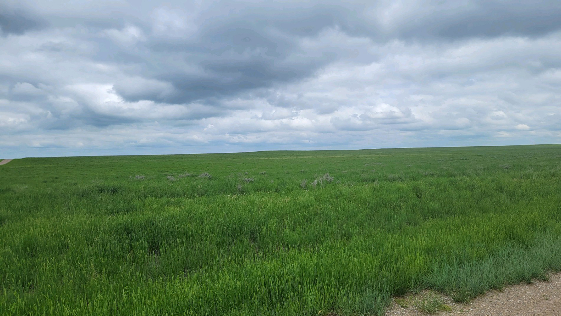 Brand Rock Home Ranch property picture 20 of 36