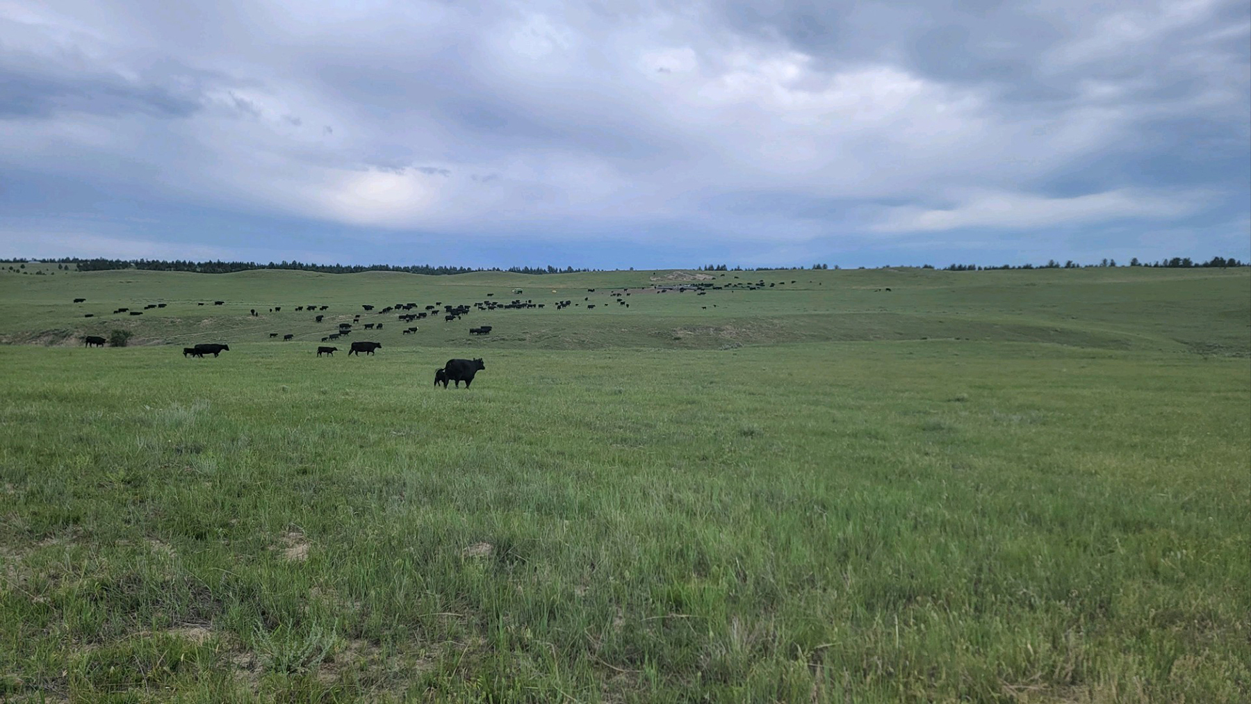 Brand Rock Home Ranch property picture 10 of 36