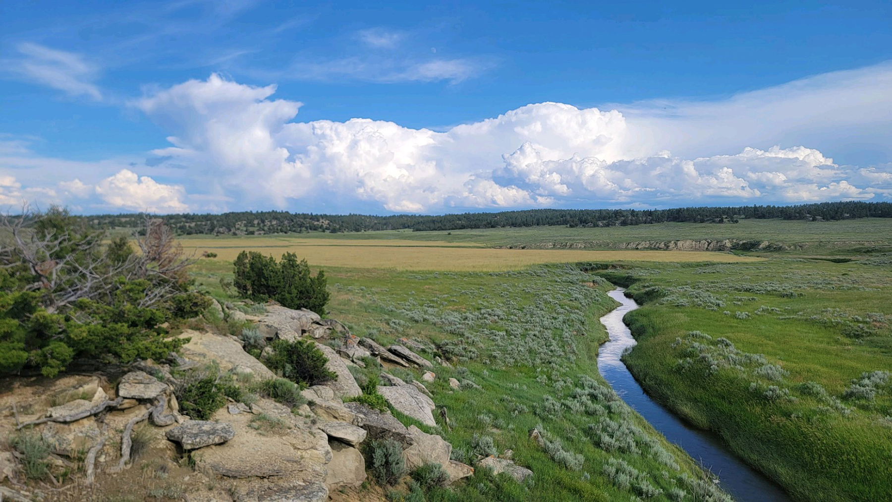 Brand Rock Home Ranch property picture 21 of 36