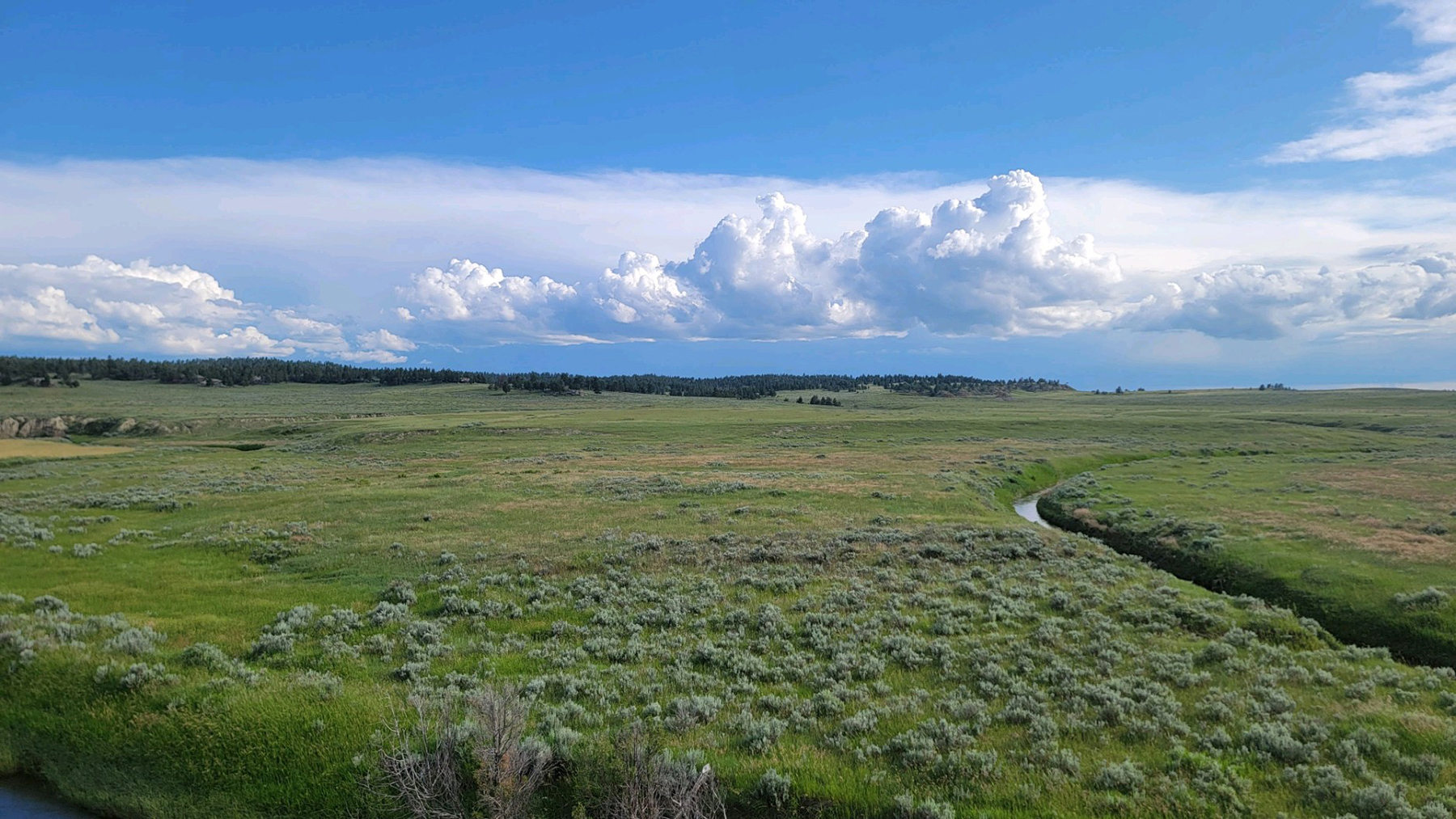 Brand Rock Home Ranch property picture 11 of 36