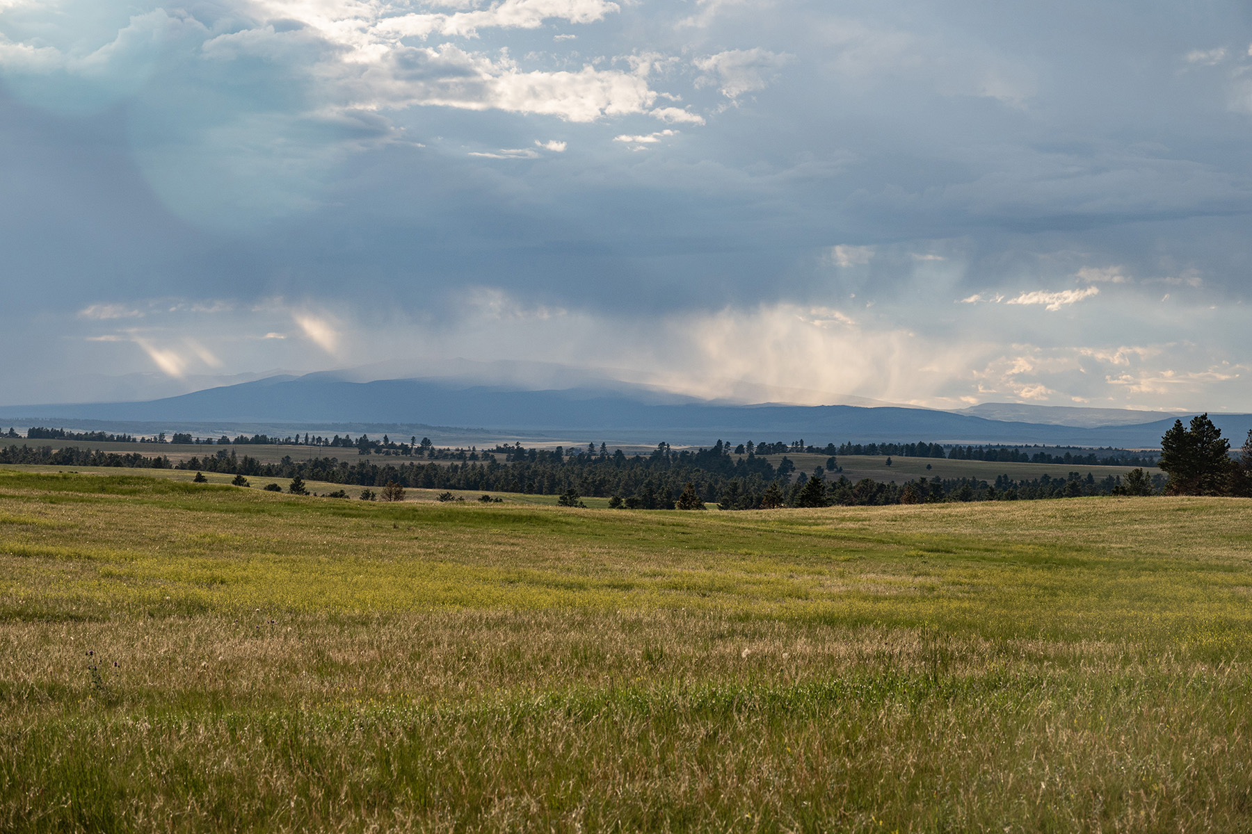 Brand Rock Home Ranch property picture 19 of 36