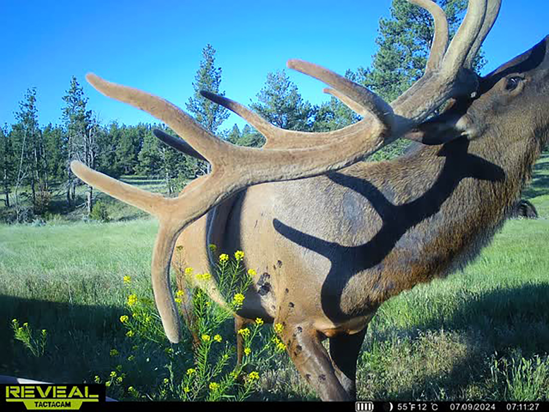 Brand Rock Home Ranch property picture 26 of 36