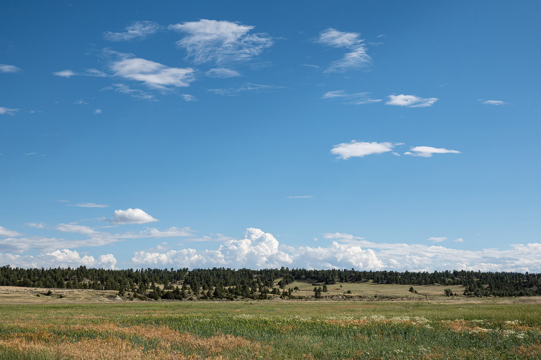 Brand Rock Home Ranch property picture 14 of 36