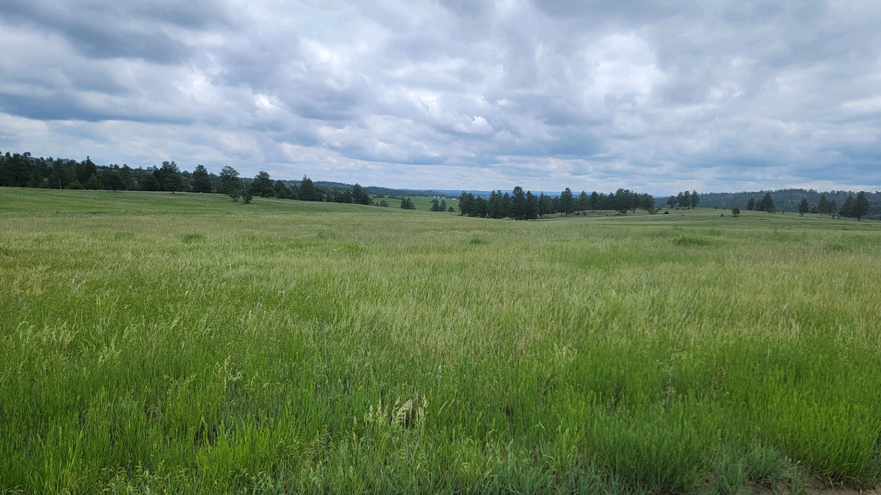 Brand Rock Home Ranch property picture 23 of 36