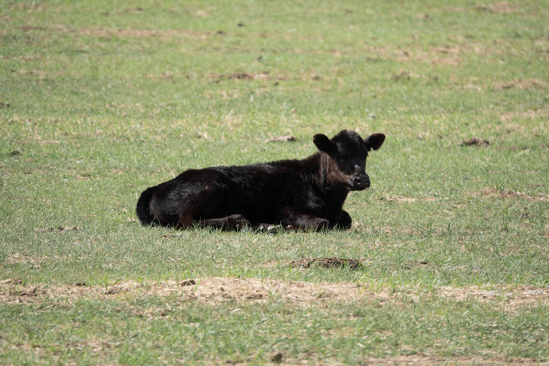 Brand Rock Home Ranch property picture 27 of 36