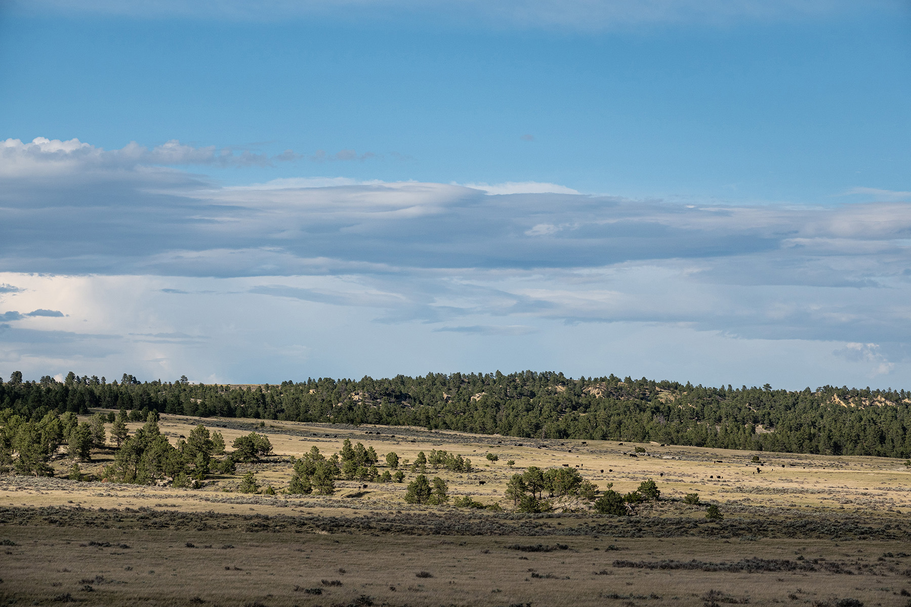 Brand Rock Home Ranch property picture 18 of 36
