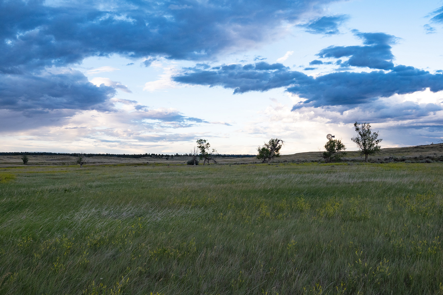 Elkland Ranch property picture 5 of 5