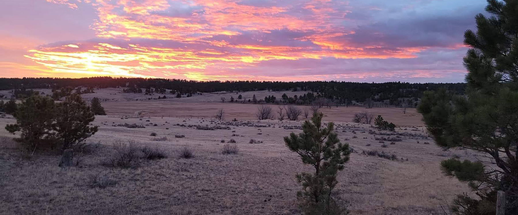 Elkland Ranch property picture 1 of 5