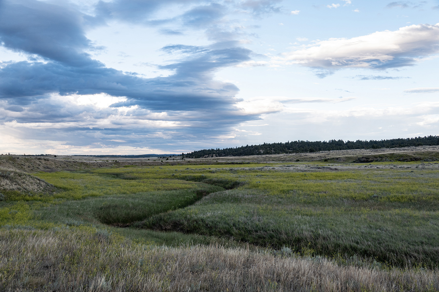 Elkland Ranch property picture 3 of 5