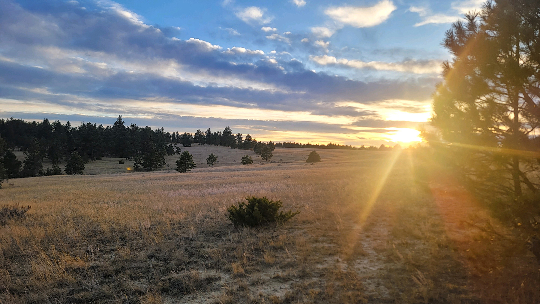 Elkland Ranch property picture 2 of 5