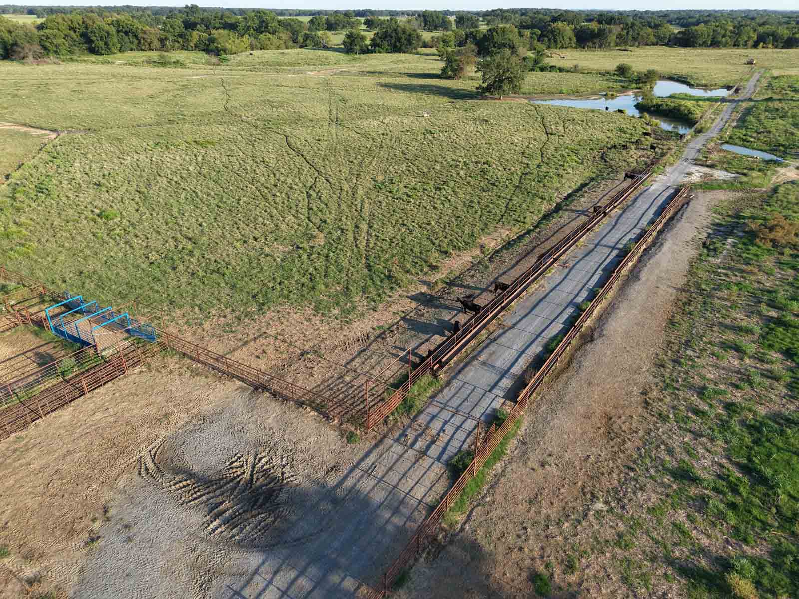 Oklahoma Land Auction property picture 9 of 21