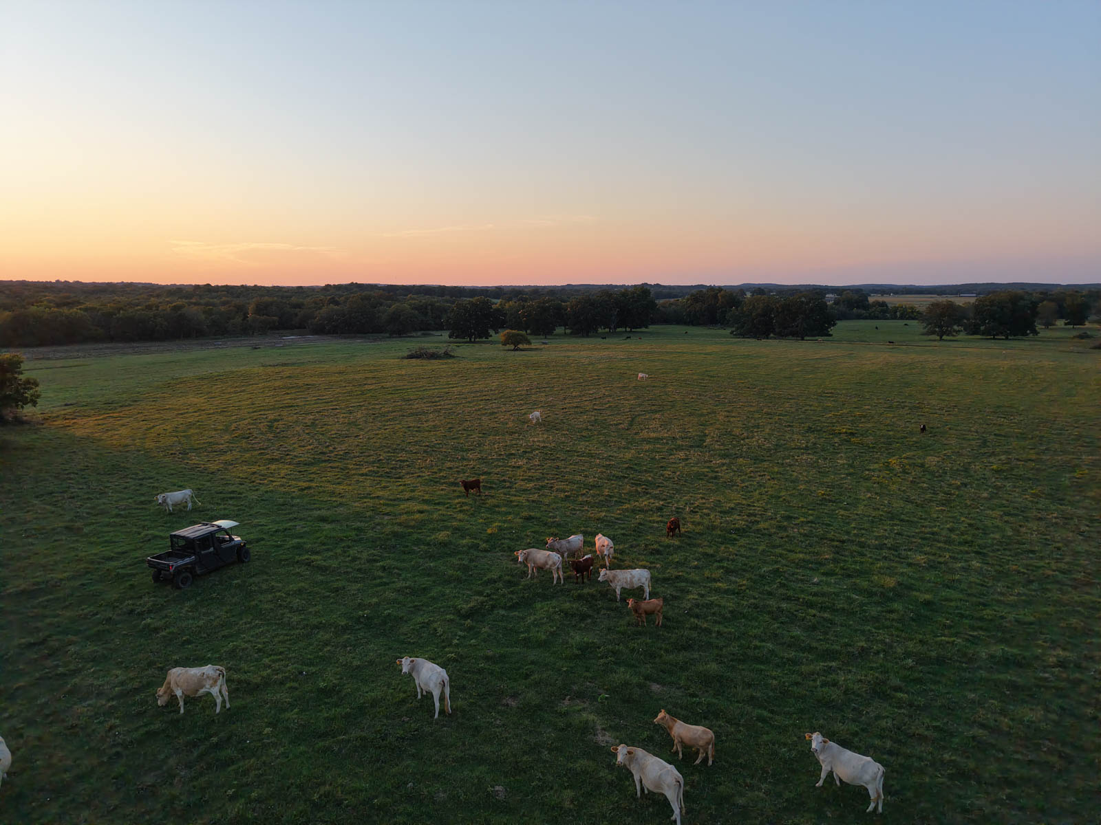 Oklahoma Land Auction property picture 14 of 21