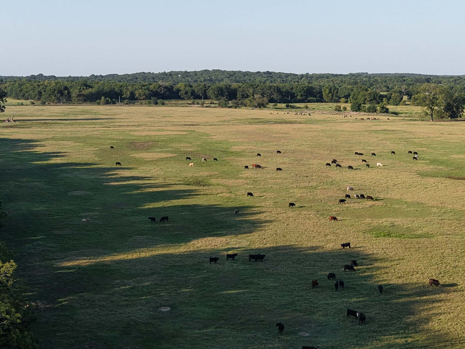 Oklahoma Land Auction property picture 4 of 21