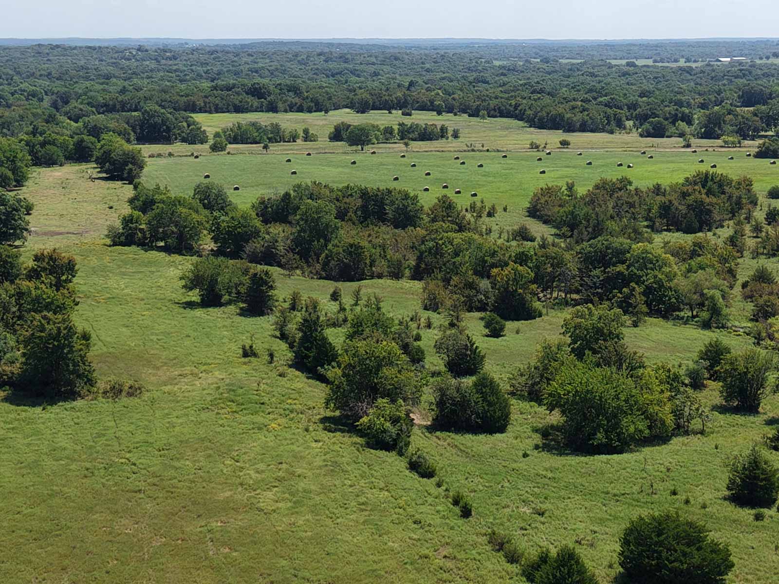 Oklahoma Land Auction property picture 16 of 21