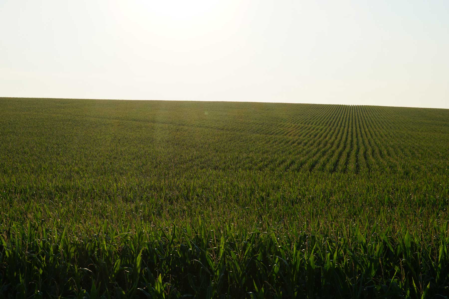 Witten Farms property picture 66 of 76