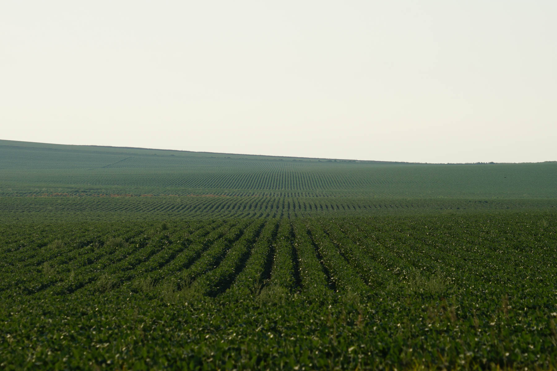 Witten Farms property picture 42 of 76